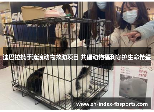 迪巴拉携手流浪动物救助项目 共倡动物福利守护生命希望